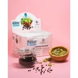 Integra Boost Terpene Essentials Cariophylene 67G 62% regulator wilgoci